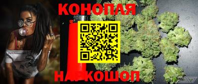 спиды Пенза