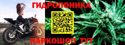 a pvp Пугачёв