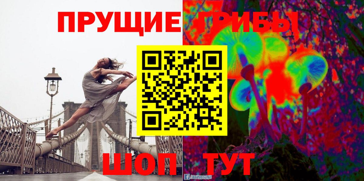 Псилоцибиновые грибы Psilocybe  Вход с VPN  Псилоцибиновые грибы Cubensis  Серов 